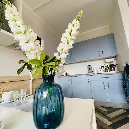 Sali Homes - In - Basic Kevelaer